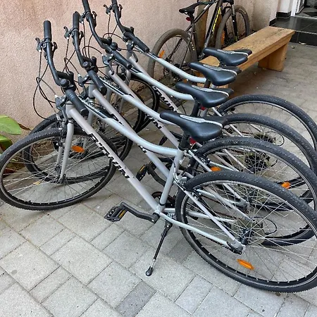 Apartament Bellevue Hill Zadar